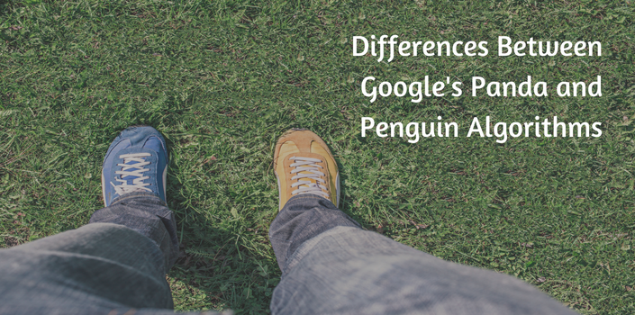 Google Panda and Google Penguin | Digital Firefly Marketing