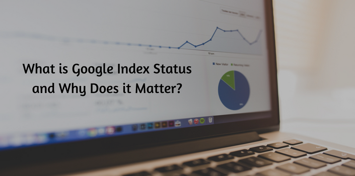 google index status