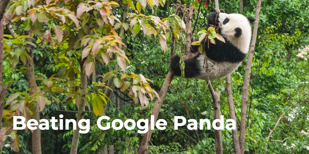 Learn How to Beat Google Panda