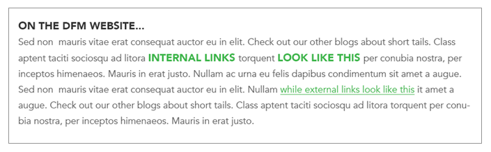 Make sure you distinguish between internal and external links in your CSS design.